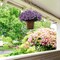 Lavender Hydrangea Bush: 21-Inch, 5 Silk Flowers & Leaves by Floral Home®